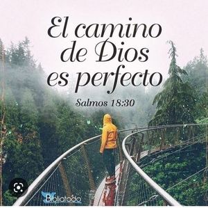 Meet your Posher, Walter